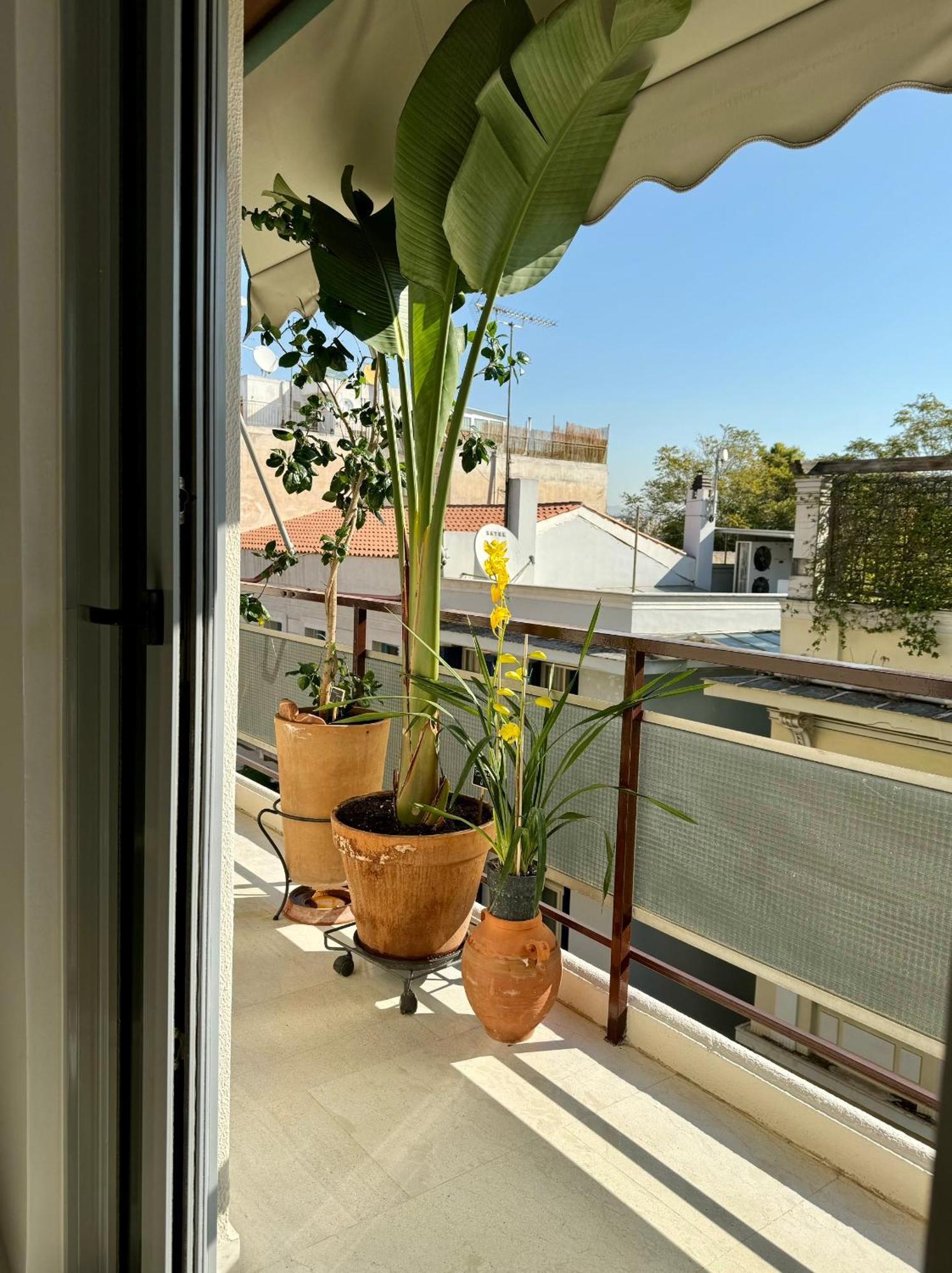 Ferienwohnung Friends&Family Athen Exterior foto